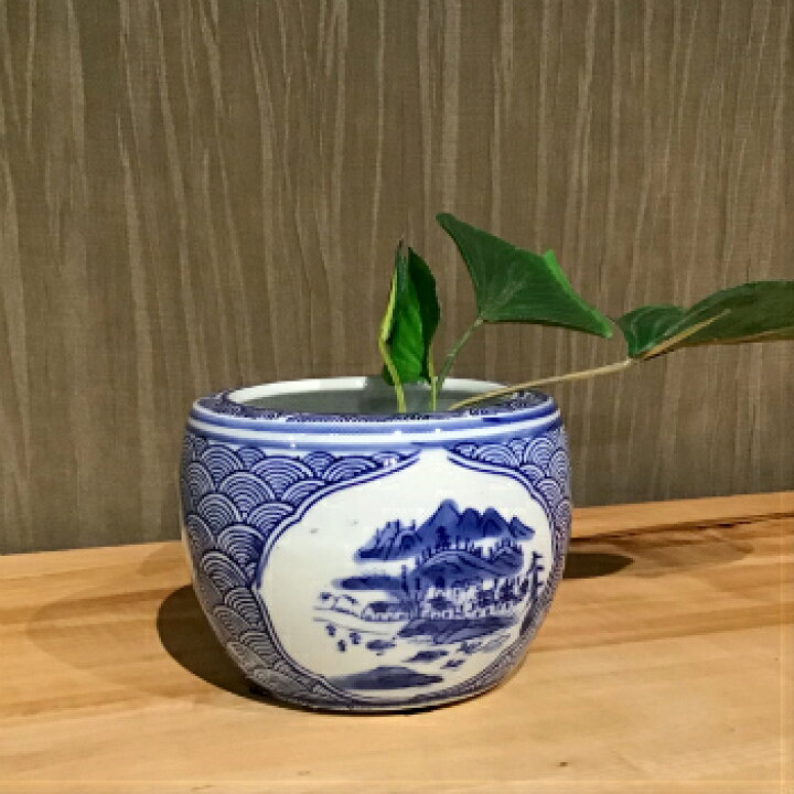 楽天市場】火鉢 水鉢 睡蓮鉢 すいれん鉢 メダカ鉢 金魚鉢 陶器 ハス鉢 