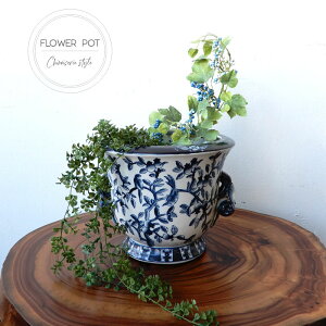 Ԃт ԕr  Ă ĕ a_ VmY Mtg t[ AWg   ԕr Ԋ ԓ CeA AWA 蕨 v[g Vzj JXj hV̓ ̓y