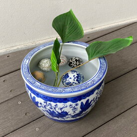 楽天市場 金魚 鉢 柄の通販
