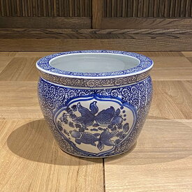 楽天市場 ハイドロカルチャー 花の通販