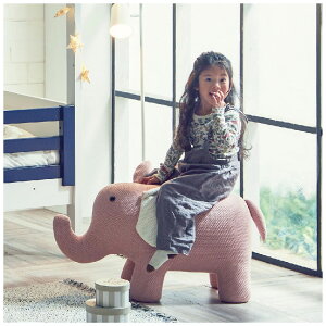 Xc[ LbY`FA ؐ qp֎q  蕨  ]E  q qǂ֎q q 킢 u[ sN ω׏d80kg  lCyz̃Xc[