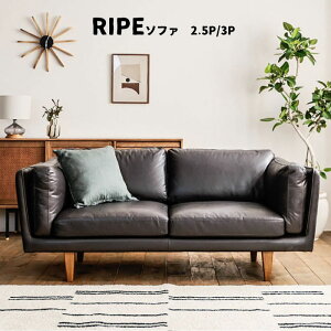 \t@ \t@[ 2.5l| 2.5P 3l| 3P  Be[W k {fbhU[ 178cm@198cm  re[W jO rO CeARIPE \t@ 3P/2.5PyEJݒu