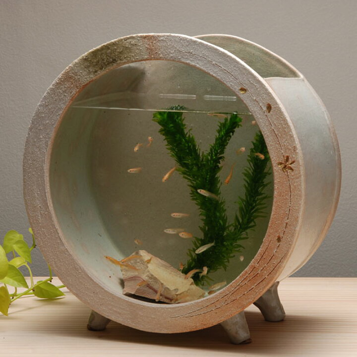 楽天市場 メダカ 水槽 おしゃれ メダカ鉢 鉢 メダカ入れ 金魚鉢 陶器 水そう 水鉢 信楽焼 陶器 ガラス 陶水槽 おしゃれ 和風モダン ビオトープ 送料無料 信楽焼 白金彩丸水槽 大 ウッドギャラリー樹