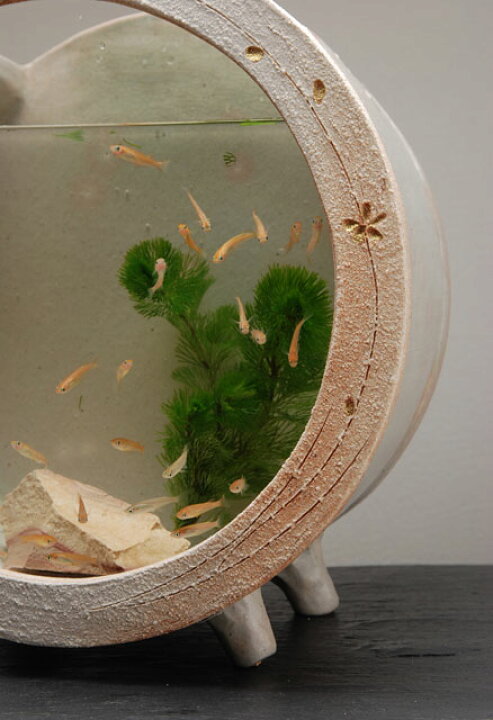 今だけポイント10倍 信楽焼 和風 水鉢 メダカ鉢 インテリア水槽 陶器とガラスがコラボ はす鉢 Su 0123 鉢 めだか鉢 おしゃれ 金魚鉢 睡蓮鉢 陶器水槽 陶器 水槽