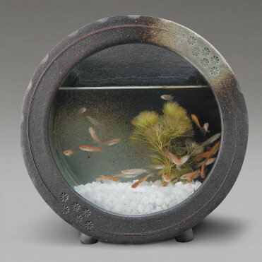 水槽 メダカ鉢 めだか メダカ入れ 金魚鉢 陶器 信楽焼 水鉢 黒 陶器 ガラス 陶水槽 おしゃれ モダン 和風モダン 丸い水槽 和風 当アジアン ビオトープ 花瓶 花びん ハイドロカルチャー 送料込み 送料無料 信楽焼 黒釉丸水槽 小 Room 欲しい に出会える