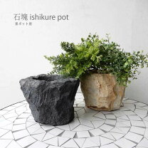 楽天市場】自然石 鉢の通販