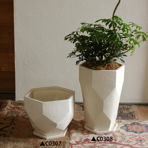 v^[  ʑ I zCg  v^[ Xܗp Xܑ Vbvp Vv  _ Z~bN K[fjO Vr[ K[fG 5E6pyzXg