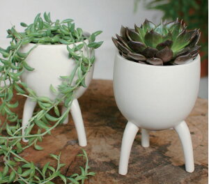 v^[|bg v^[  fĂ Ԃт zCg    ۂ rt 킢 t`Vr[ ꌊȂ v^[|bg ϗtA A v[gy