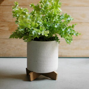 v^[X^h ؐX^h v^[|bg    zCg  X^ht ؐX^h K[fjO ꌊȂ t`Vr[ K[fjO K[fG ϗtA