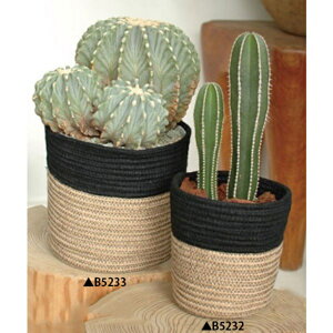 Jo[ zn  AWA i` v^[Jo[ v^[|bg   W[g  ubN _ CeAO[ 4`5pyzRib Basket(B5232/B5233)