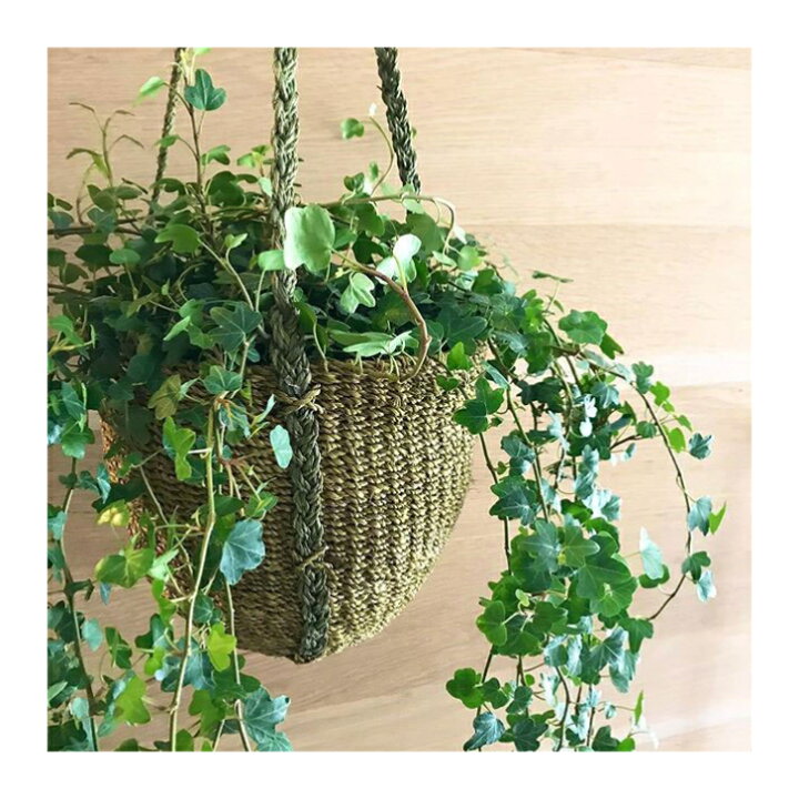 楽天市場 ハンギングバスケット ハンギングプランター おしゃれ かわいい プランターバスケット 植物 花器 吊るす 観葉植物 ガーデニング お花 観葉植物 おしゃれ ディスプレイ プレゼント 送料無料 Abaca バスケット ウッドギャラリー樹