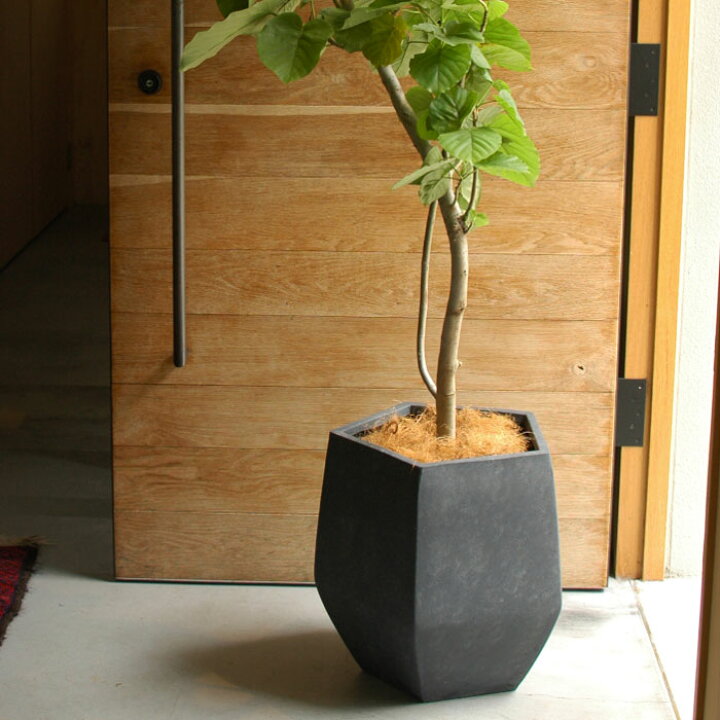 楽天市場】鉢カバー 植木鉢 プランターカバー 大型 観葉植物 おしゃれ 