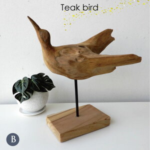  Bird o[h IuWF u ؂̃IuWF fBXvC Vbv X  VR `[NEbh VRf 킢 CeAG ؐ nhCh IuWFyzTeak@Bird