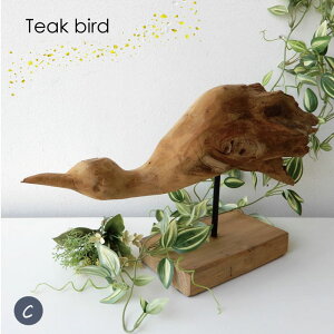  Bird o[h IuWF u ؂̃IuWF fBXvC Vbv X  VR `[NEbh VRf 킢 CeAG ؐ nhCh IuWFyzTeak@Bird
