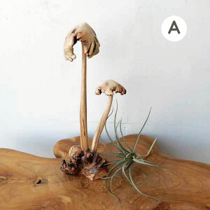 ̂ LmR IuWF u ؂̃IuWF fBXvC Vbv X  VR }S[̖ VRf 킢 K[fG ؐ nhCh IuWFyzMush