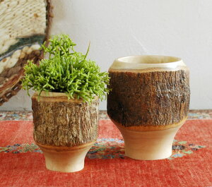 v^[|bg ؐv^[  I VR }S[̖ Jo[  VRf 킢 K[fG Mango v^[|bg t[|bg ؐ nhCh IuW