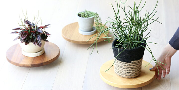 楽天市場 プランター台 プランターキャリー 木製 無垢 おしゃれ ウォールナット オーク アルダー プランターキャリー プランターベース 花台 鉢置き プランター置き キャスター付 鉢載せ台 ガーデニング用品 売れ筋 送料無料 プランターベースシングル29 ウッド