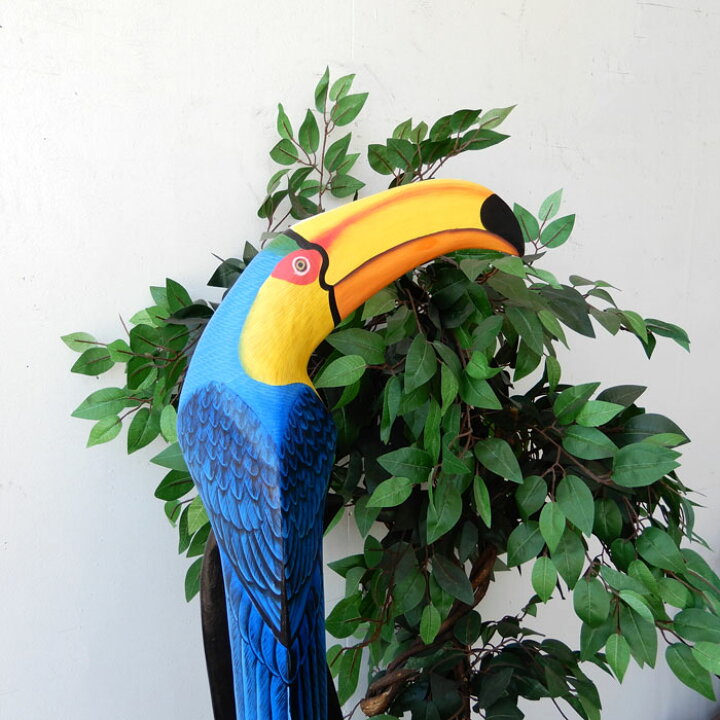 楽天市場】オニオオハシToco Toucanparrot トコ トゥーカン 鳥 