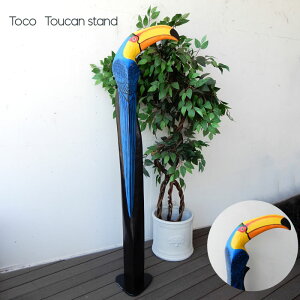 IjIInVToco Toucanparrot gR gD[J  X^hEbh wood I[igu IuWFG  [A CeAG X Y JtF e Tv[g JXjy