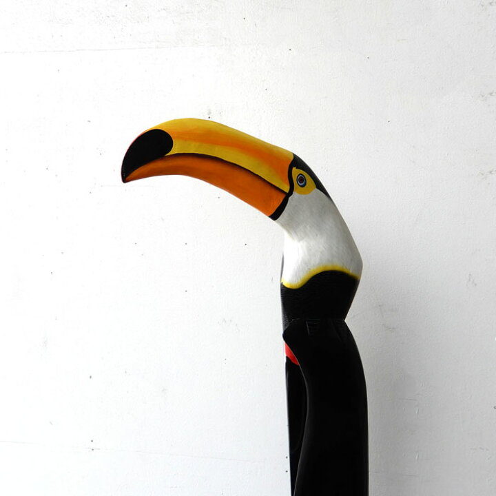 楽天市場】オニオオハシToco Toucanparrot トコ トゥーカン 鳥 