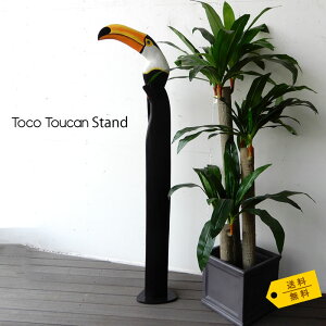 IjIInVToco Toucanparrot gR gD[J  X^hEbh wood I[igu IuWFG  [A CeAG X Y JtF e Tv[g JXjy