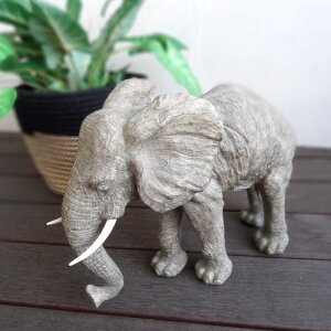 u ]E   Aj}  I[ig Aj}G  ؐ IuWF CeAG AWAG A v[g 蕨 Mtg yz̒u