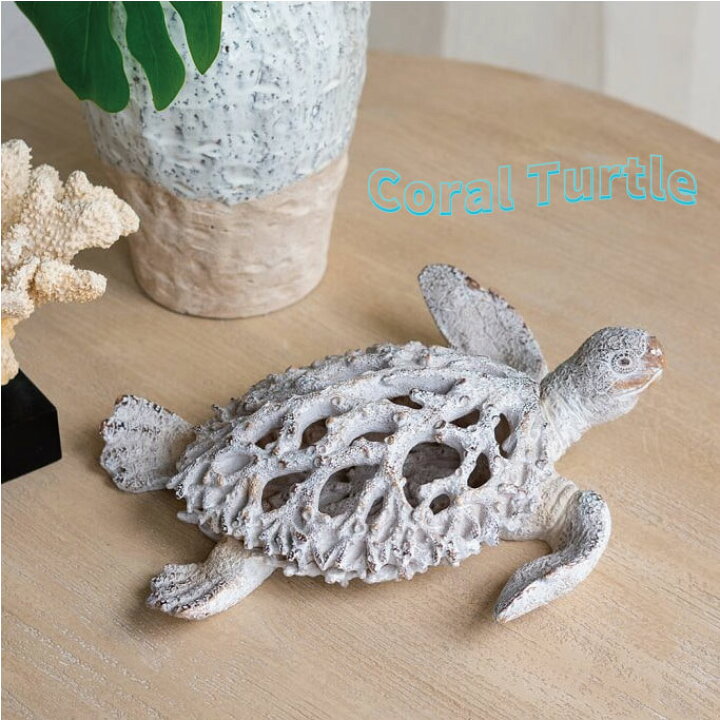 楽天市場】亀 かめ カメ タートル Turtle 珊瑚 サンゴ Coral 