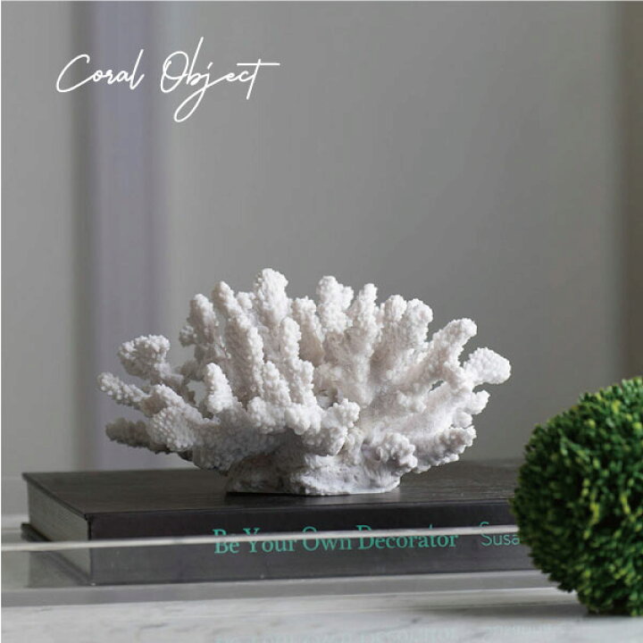 楽天市場】珊瑚 サンゴ Coral ホワイト White インテリア オブジェ 