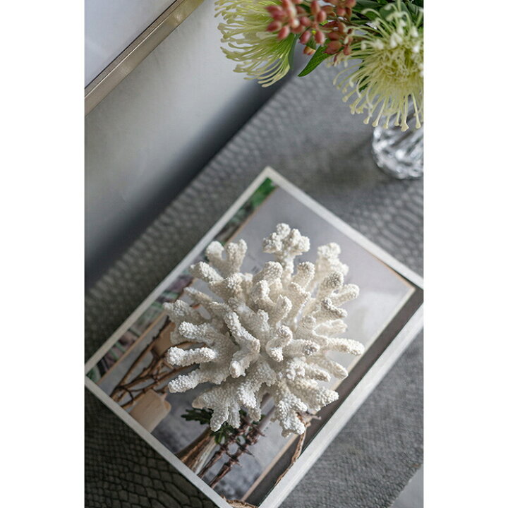 楽天市場】珊瑚 サンゴ Coral ホワイト White インテリア オブジェ 