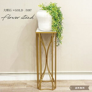 ԑ t[e[u R\[ GKg S[h F S[WX  ACA R\[e[u fBXvC ԕr   NVbN 87cm s28cmy؁zy