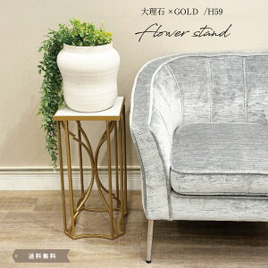 ԑ t[e[u R\[ GKg S[h F S[WX  ACA R\[e[u fBXvC ԕr   NVbN 59cm s28cmy؁zy