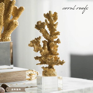 X TS TS X S[h GOLD CeA IuWFC OWA[ S[WX }    I  fXN u  G CeAG Xܗp 