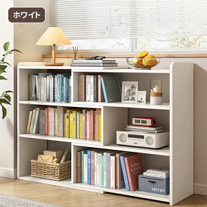 yssE500~N[|IzNADLE {I ؐ G{I DIY e  60cm~110cm\ s24cm I ޒI [I ȃXy[X RpNg fXN G{  G k V 