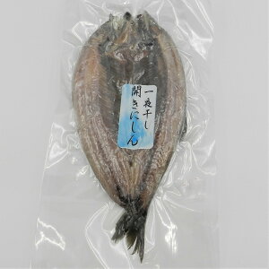 北海道産一夜干開きにしん(冷凍) 1枚入