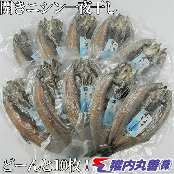 北海道の魚の代表 価格交渉OK送料無料 脂ののったにしんの干物 焼き魚でどうぞ ニシン開き一夜干し10枚 全国一律送料無料