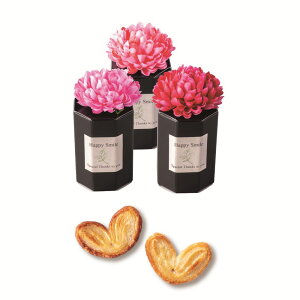 v`Mtg [XX}C[ Pi  킢  EFfBO uC_ p[eB[ َq pC 킢 v`Mtg