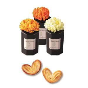 v`Mtg [XX}CIW Pi  킢  EFfBO uC_ p[eB[ َq pC 킢 v`Mtg