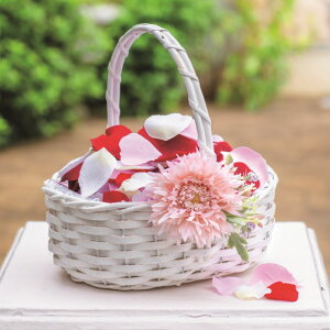 yozt[V[  EFfBO uC_ oObY oACe