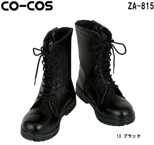 SC ƌC Z[teBV[Y ҂݃t@Xi[t ZA-815 (24.0`30.0cm) Z[teBV[Y R[RX (CO-COS) 