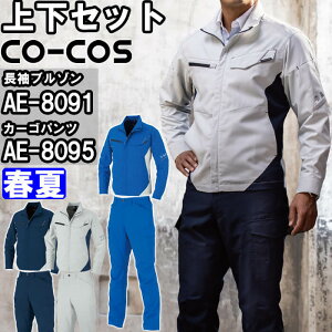 P2{IX[p[Z[ԁƕ ㉺Zbg R[RX CO-COS u] AE-8091 4L-6L  J[Spc AE-8095 4L-6L t Xgb` GRf ƒ jZbNX