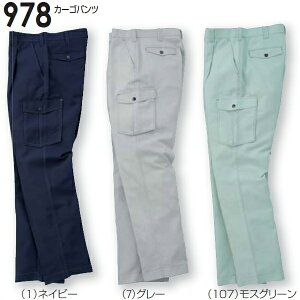 }\P2{Itėpƕ ƒ J[Spc 978i91`100cmj 971V[Y KaiSOWAj 