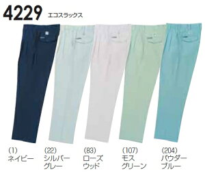 P2{IX[p[Z[ԁH~pƕ ƒ GRXbNX 4229i105`110cmj 4221V[Y KaiSOWAj 