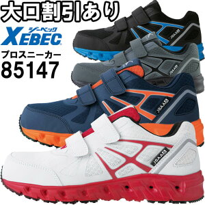 P2{I}\ԁSC W[xbN XEBEC vXj[J[ 85147 22.0cm-30.0cm ʔN JSAAKiAF ƌC Z[teBV[Y jZbNX Y fB[X