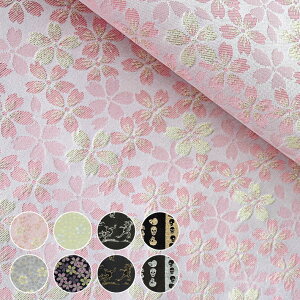 y 10cmZ 246~I z En ːD a n ؂蔄 50cmP n75cm E  ؂₩ a | l`  bY XJ  