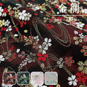 y 10cmZ 258~I z En ːD a n ؂蔄 50cmP n75cm E  ؂₩ a | l`  s~ ~  ~ s͗l      