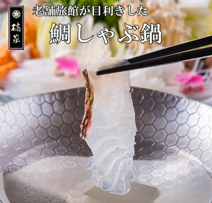 y2025EhV̓EE₵ԓz3`4lO V  k Zbg  Zbg 蕨 a ̓Mtgij/av[gȂǂ񂹂ɁI