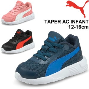 Xj[J[ xr[ LbY V[Y 12-16cm q qǂ ǂC LbYXj[J[/v[} PUMA eCp[ AC Ct@g/Ԃ j̎q ̎q X|[c JWA ^C c xr[C 