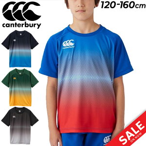 J^x[ LbY  TVc 120-160cm q canterbury WjA g[jOeB qǂp Or[ X|[cEFA z K ǂ gbvX/RGJ33251