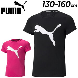 v[} LbY  TVc ̎q K[Y PUMA ESS ANeBu Tee/WjA 130-160cm q X|[cEFA vgT rbOS gbvX qǂ  w JWA/589039