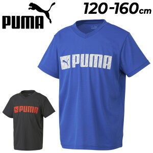 v[} LbY  TVc WjA 120-160cm q PUMA g[jO X|[cEFA S vgT qǂ fC[ JWA ʊw gbvX/676151ypu22pdz